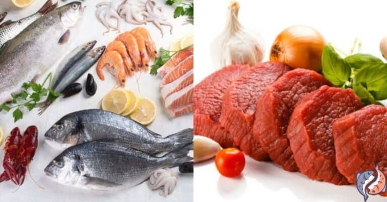 Seafood Vs. Red Meat (Which Is The Healthiest) - Seafoodglobe.com