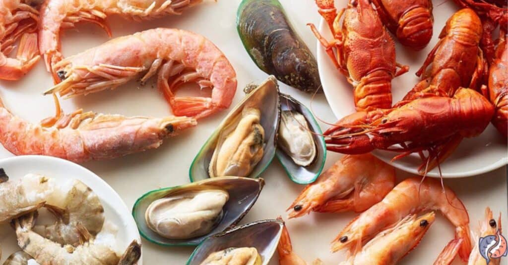 Are Seafood Allergies Genetic