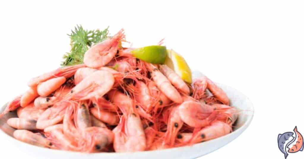 Are Shrimps Good For You