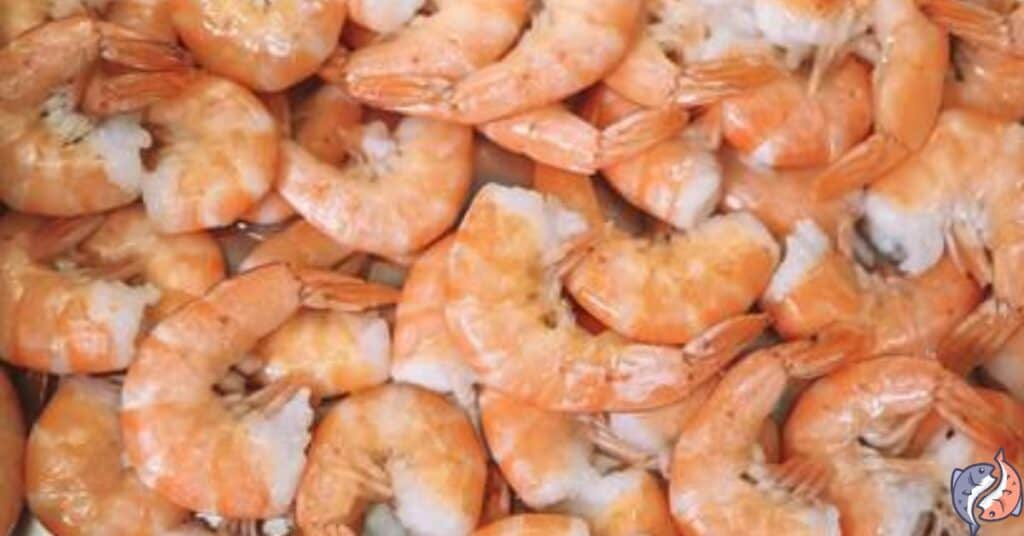 How Many Shrimps Is 100 Grams?
